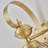 Alexavier 1-Light Outdoor Wall Light Lantern In Classic Brass With Clear Glass Shade