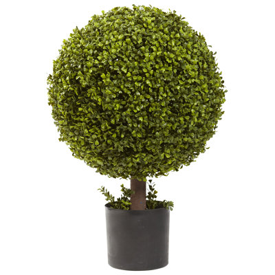 27'' Faux Boxwood Topiary in Planter