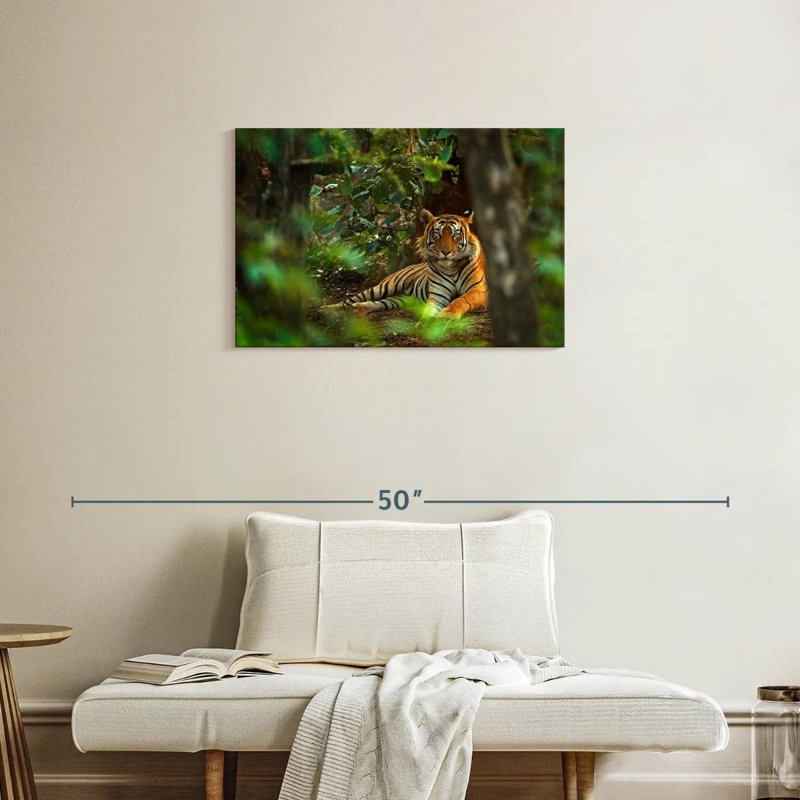 Brampt Indian Tiger, 20" H x 30" W
