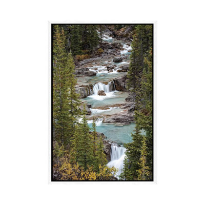 Canada, Alberta. Nigel Creek, Banff National Park. by Judith Zimmerman - Print on Canvas