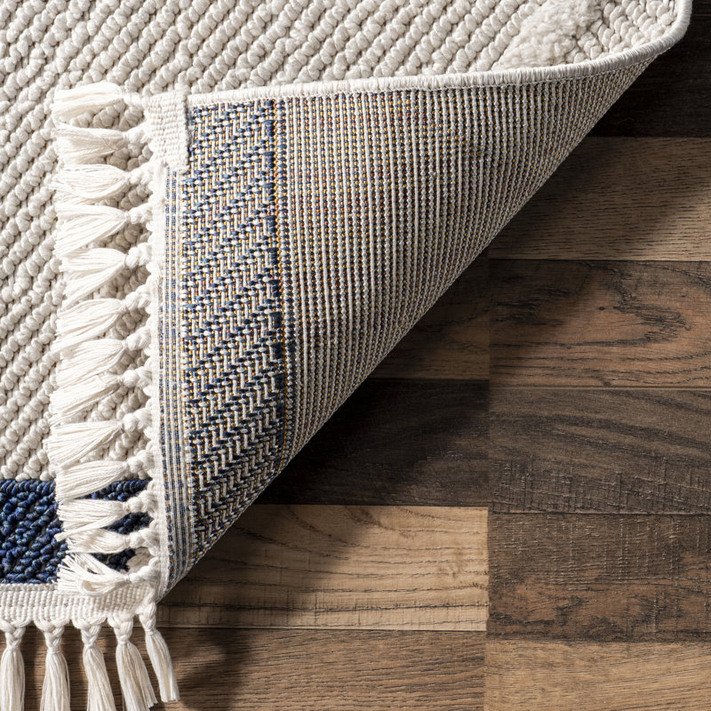 Emilie Casual Geometric Tasseled Area Rug, Rectangle 4' x 6'