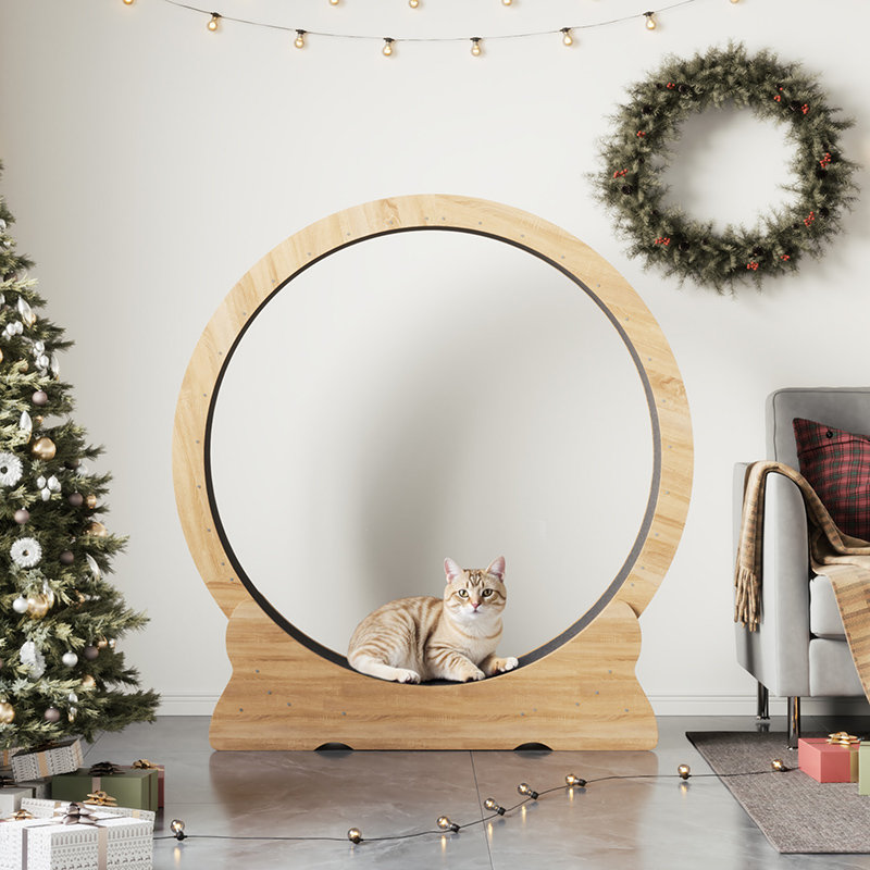 Modern 43.3''Cat Exercise Wheel