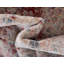 Tapis oriental Gabbs-1684171376