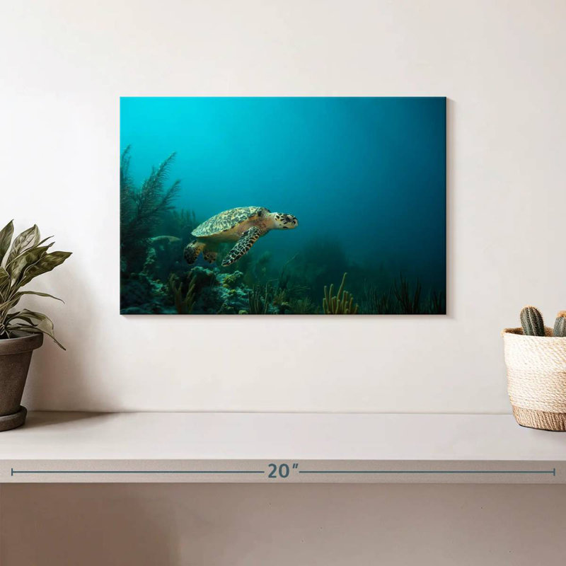 Crowle Caribbean Hawksbill Sea Turtle, 8" H x 12" W