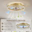 Ceiling Fan