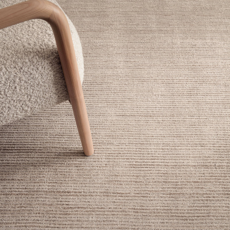 Bissainthe Hand Woven Area Rug, Rectangle 160 x 230 cm