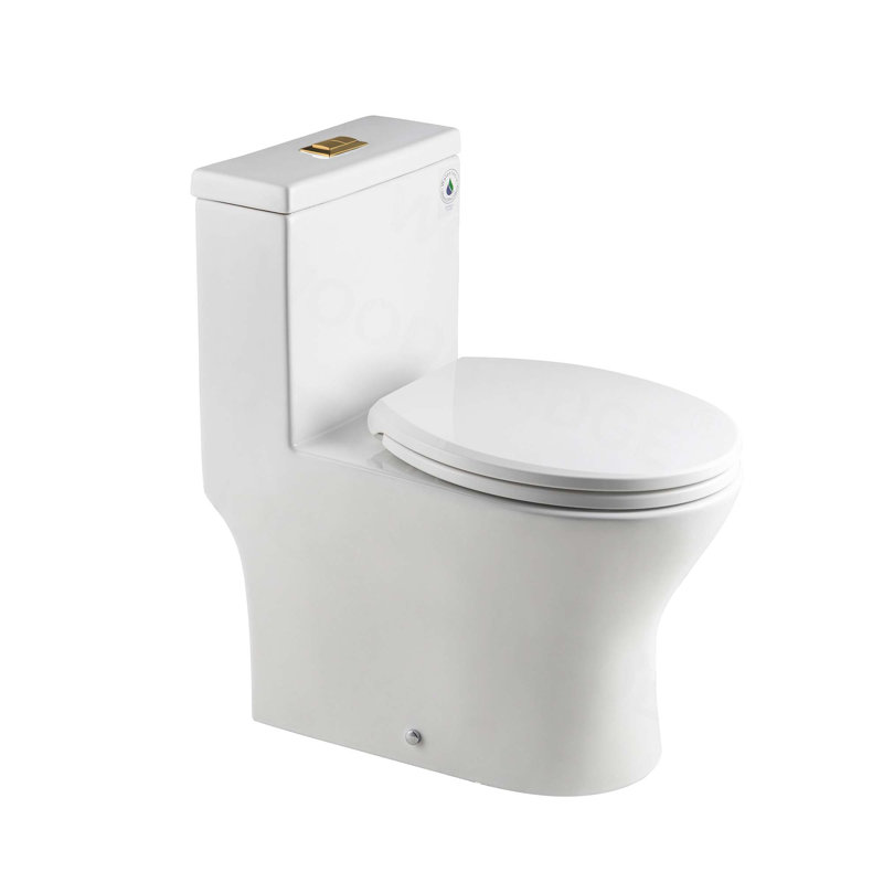 1.28 GPF Round Compact One Piece Dual-Flush Toilet with Soft-Closing Seat,MAP Flushing 1000G, White/Brushed Gold