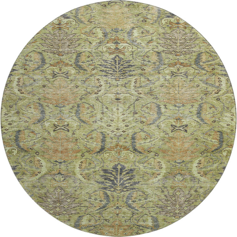 Premium Machine Washable Dahl AMF1082 Damask Rug