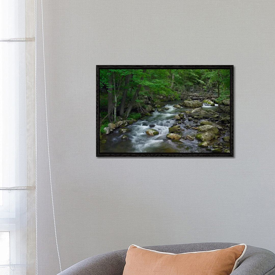 Little Stony Creek Flowing Through Jefferson National Forest, Virginia von Tim Fitzharris - Gallery-Wrapped Canvas Giclé...