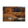 Fall Duet by David Gardiner - Rectangle Print on Canvas