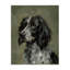 «Cocker Spaniel Portrait», art mural sur toile par Victoria Barnes-1555248381