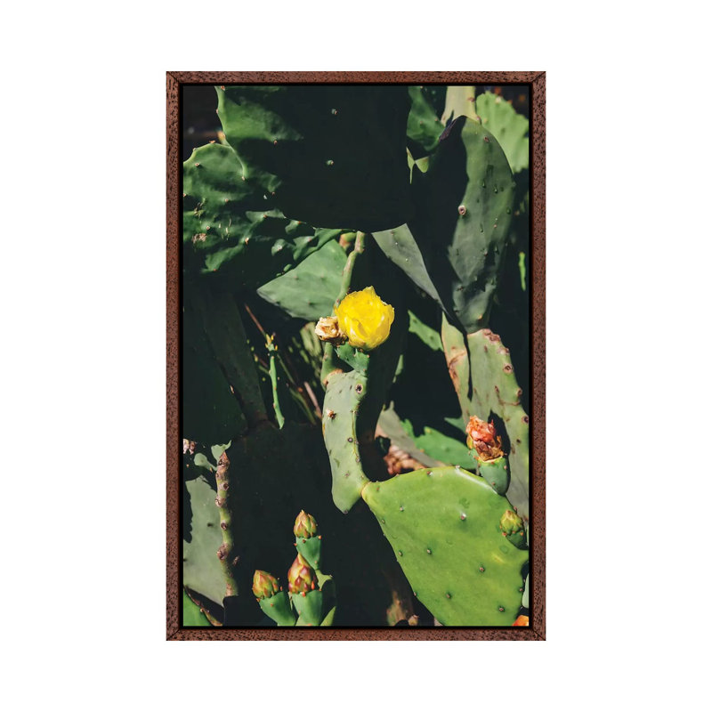 Center Bloom by Bethany Young - Print on Canvas, Classic Brown Wood Framed, 101.6cm H x 66.04cm W x 3.81cm D