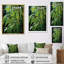 " Bamboo Sunset Photography III "-95900742-95900743