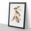 Grosbeak Birds by John Audubon - Framed Print-55608930-55608933