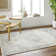 Oriental Indoor Rug