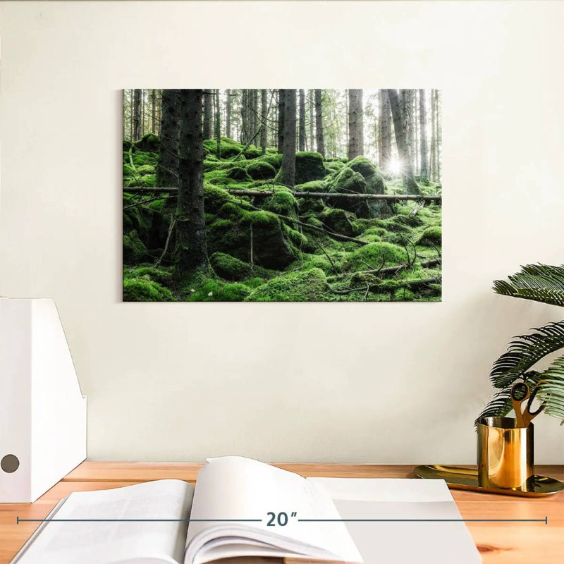 Harnek Moss In Forest, 8" H x 12" W