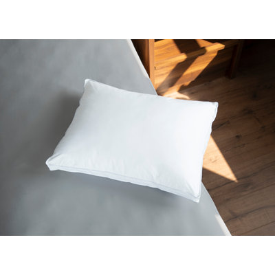 Coussin Arias