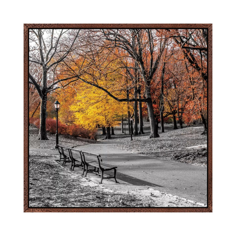 Park Pretty I by Assaf Frank - Print on Canvas, Classic Brown Wood Framed Canvas, 66.04 cm H x 66.04 cm W