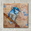 «Blue Jay US Mail» par St. Hilaire Elizabeth-1815888623