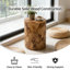 Table de bout cylindrique en bois massif