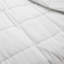 Summer Down Alternative Comforter-2041690559