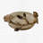 Mallett Soap Dish