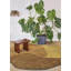 Tumulus Hand Tufted Wool Area Rug in Saffron/Yellow/Brown-298657992