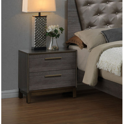 Alira 2 Drawer Nightstand by Latitude Run