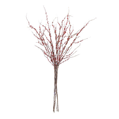Bouquet de branches de baies de Bourgogne