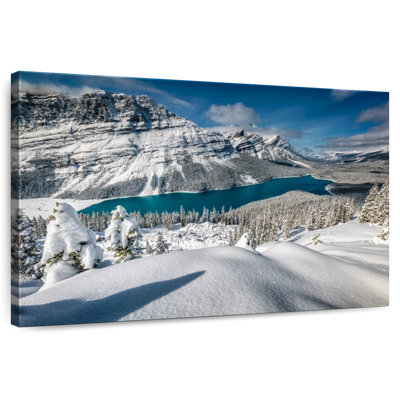 Alvord Peyto Lake In Snow