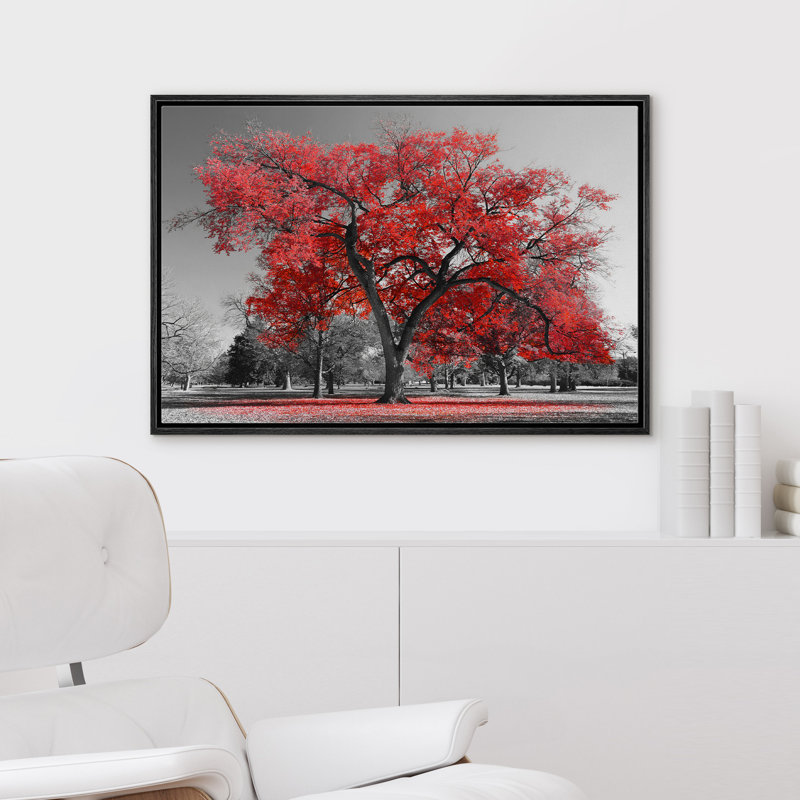 Arbre rouge sur fond de parc noir et blanc, Cadre flottant noir, H 16 po x l 24 po