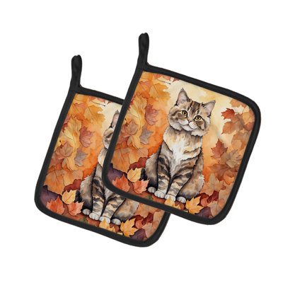 Paire de poignées pour chat Selkirk Rex