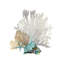 Coral Iv by Aimee Wilson - Painting on Canvas-1641656377-1739444447
