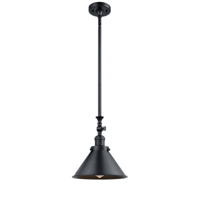 Luminaire suspendu conique 1 lumière Paylor
