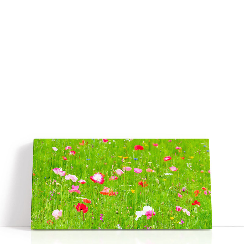 «Meadow Flowers», reproduction d'art sur toile, H 10 po x l 20 po