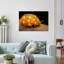 Spotted Ladybug Close-Up Contemporary Ladybug Nature Wildlife Wall Art Print by Eduard Andrica - Print-1639246628