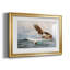 Aigles de mer (Havsornar) - Brun Lilofors - reproduction encadrée avec passe-partout et verre - 1897-943655657-943655656-943655655