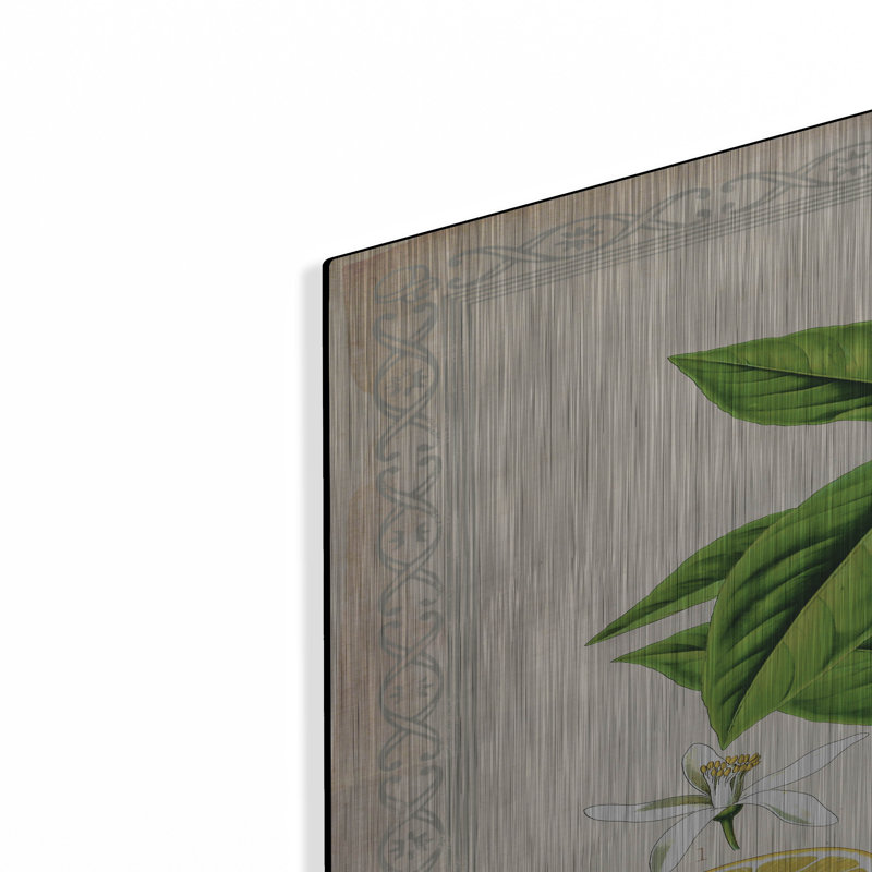 «Citrus Limonum Risso» par Jean Plout, art mural en métal, 36" H x 24" W