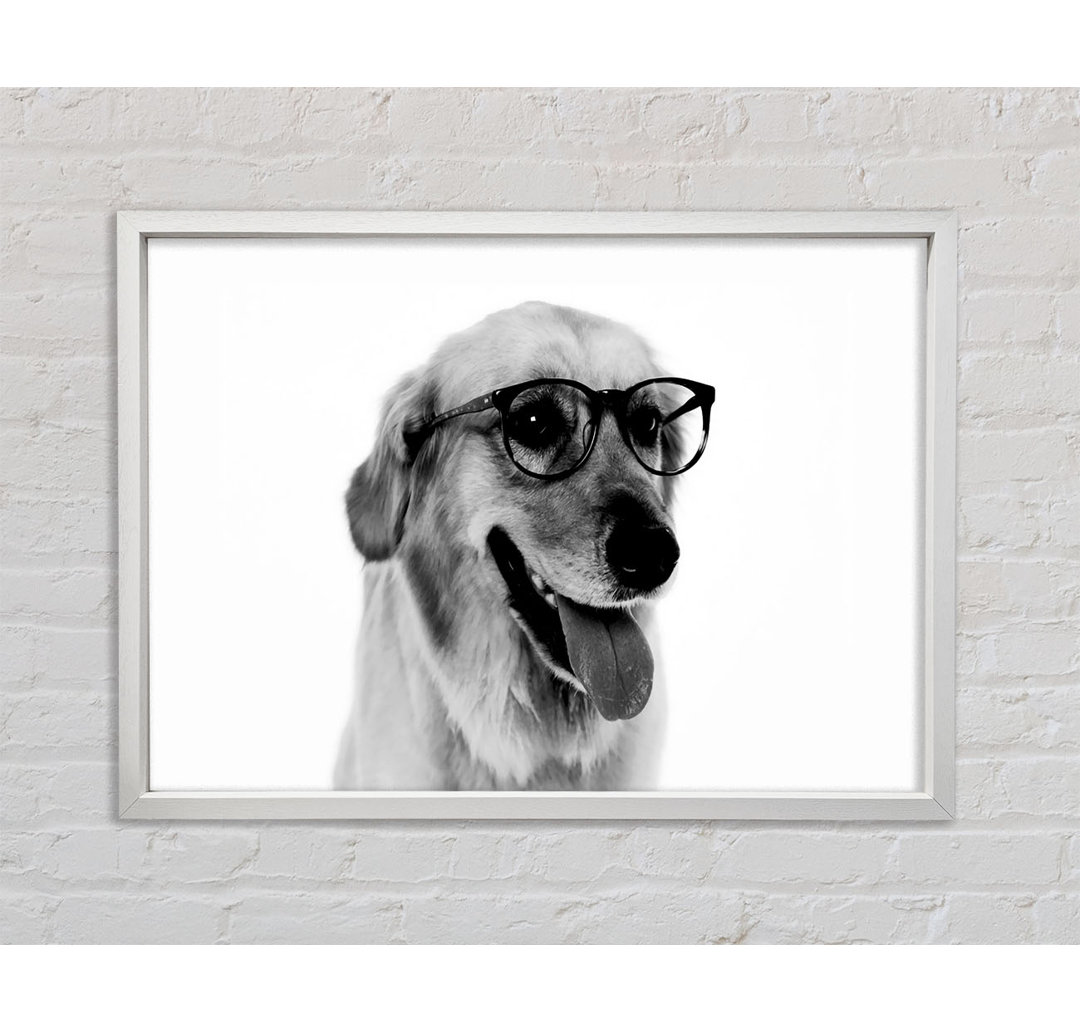 Have You Seen My Glasses B N W - Single Picture Frame Kunstdrucke auf Leinwand