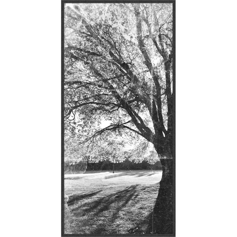 Tree Shadows Diptych " Tree Shadows Diptych A " by Lillian August