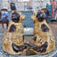 Staffordshire Dogs with Chain Figurine-1486165509