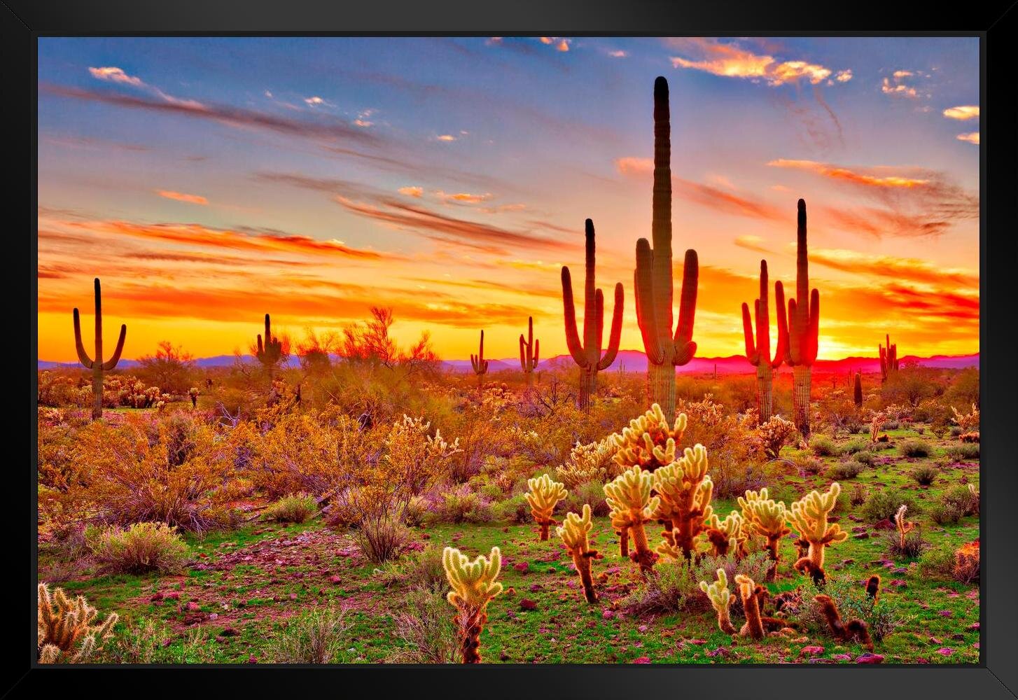 saguaro cactus sunset painting