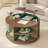 Round Lift Top Coffee Table With Storage, Modern Coffee Table With 180° Curved Sliding Door For Living Room, Office-114201846