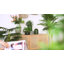 Vase de table Fairborn-1762475745