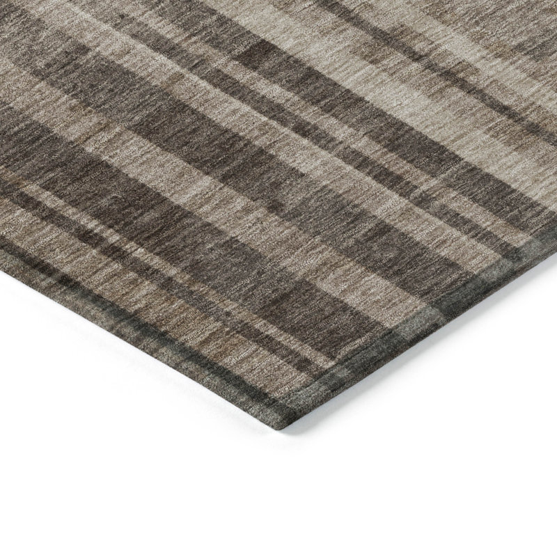  Machine Washable Indoor/Outdoor Chayden ACN1063 Rug, Rectangle 3' x 5'