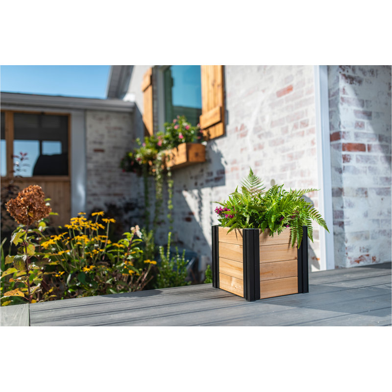 Mezza Wood Planter Box, 11.25" H x 12" W x 12" D