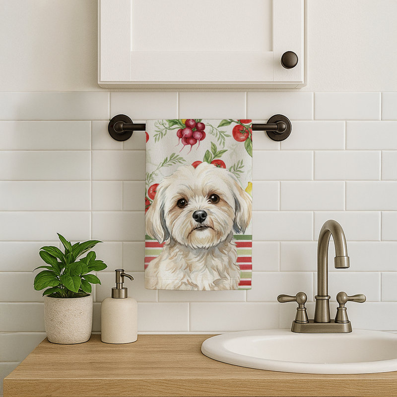 Torchon blanc Lhasa Apso, White Lhasa Apso