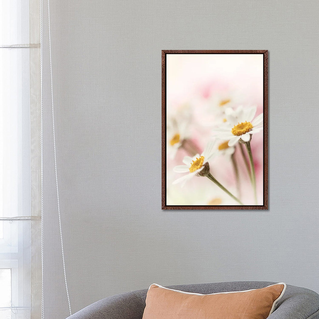 Flowers Aglow III von Judy Stalus - Gallery-Wrapped Canvas Giclée on Canvas