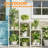 Chadric Plant Stand