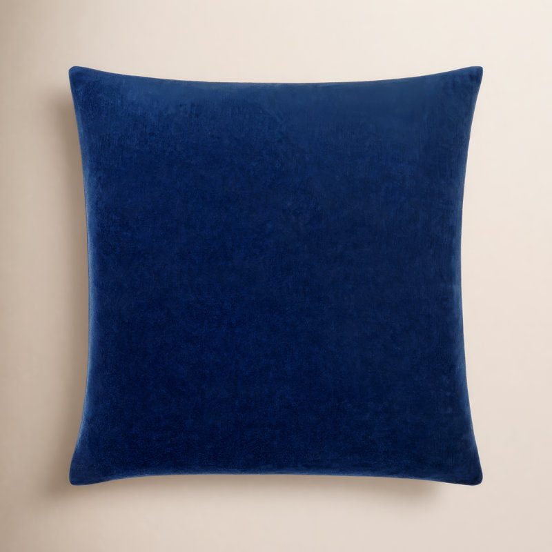 Denny Velvet Throw Pillow , 20"H x 20"W, Pillow Cover Only - No Insert, Prussian Blue